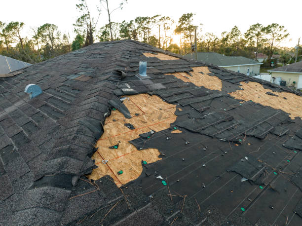 Best Roof Moss and Algae Removal  in Beaver Dam, AZ